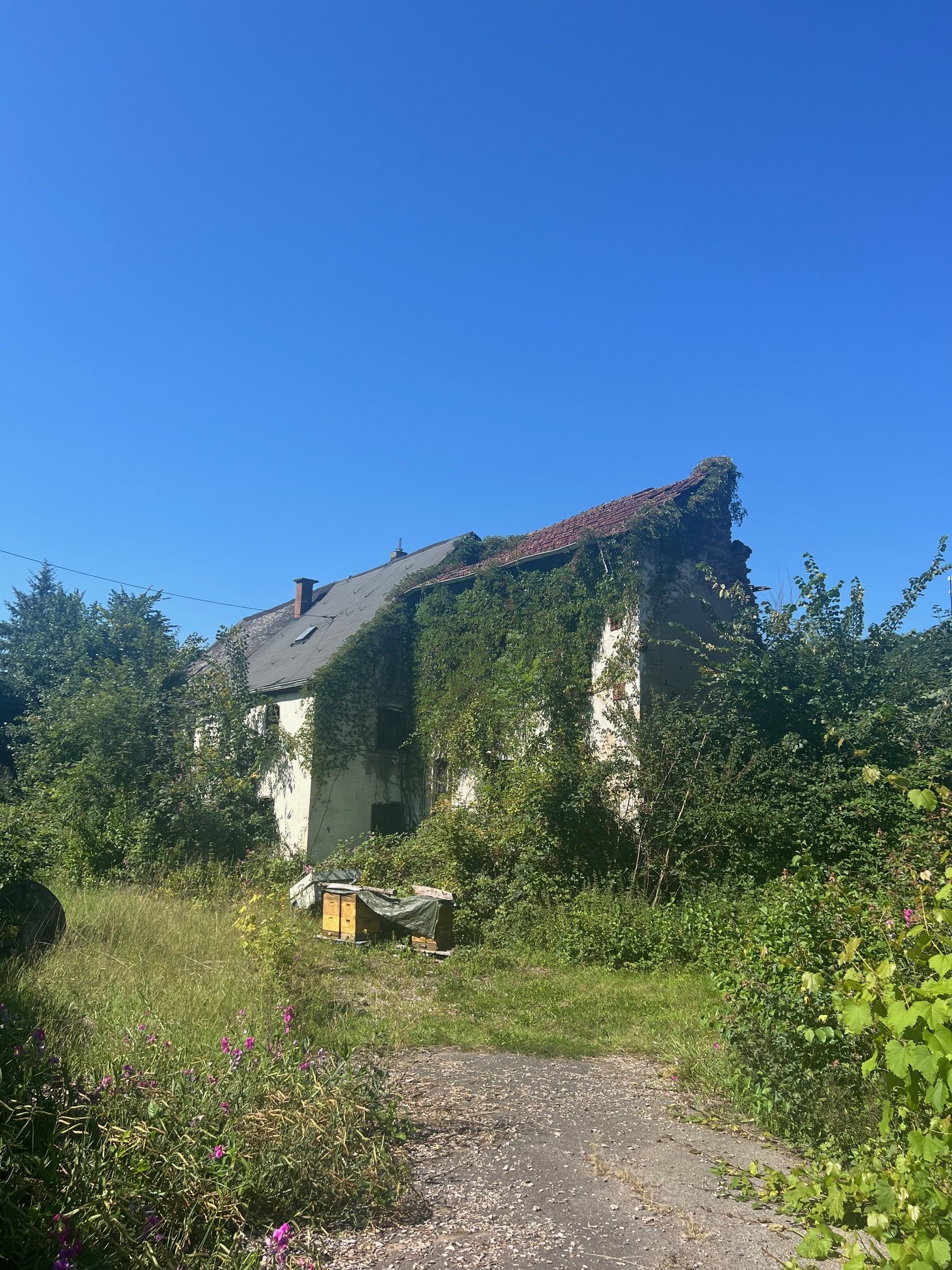 Großes schön gelegenes Grundtsück nahe an der Prims in Wadern-Büschfeld zu verkaufen