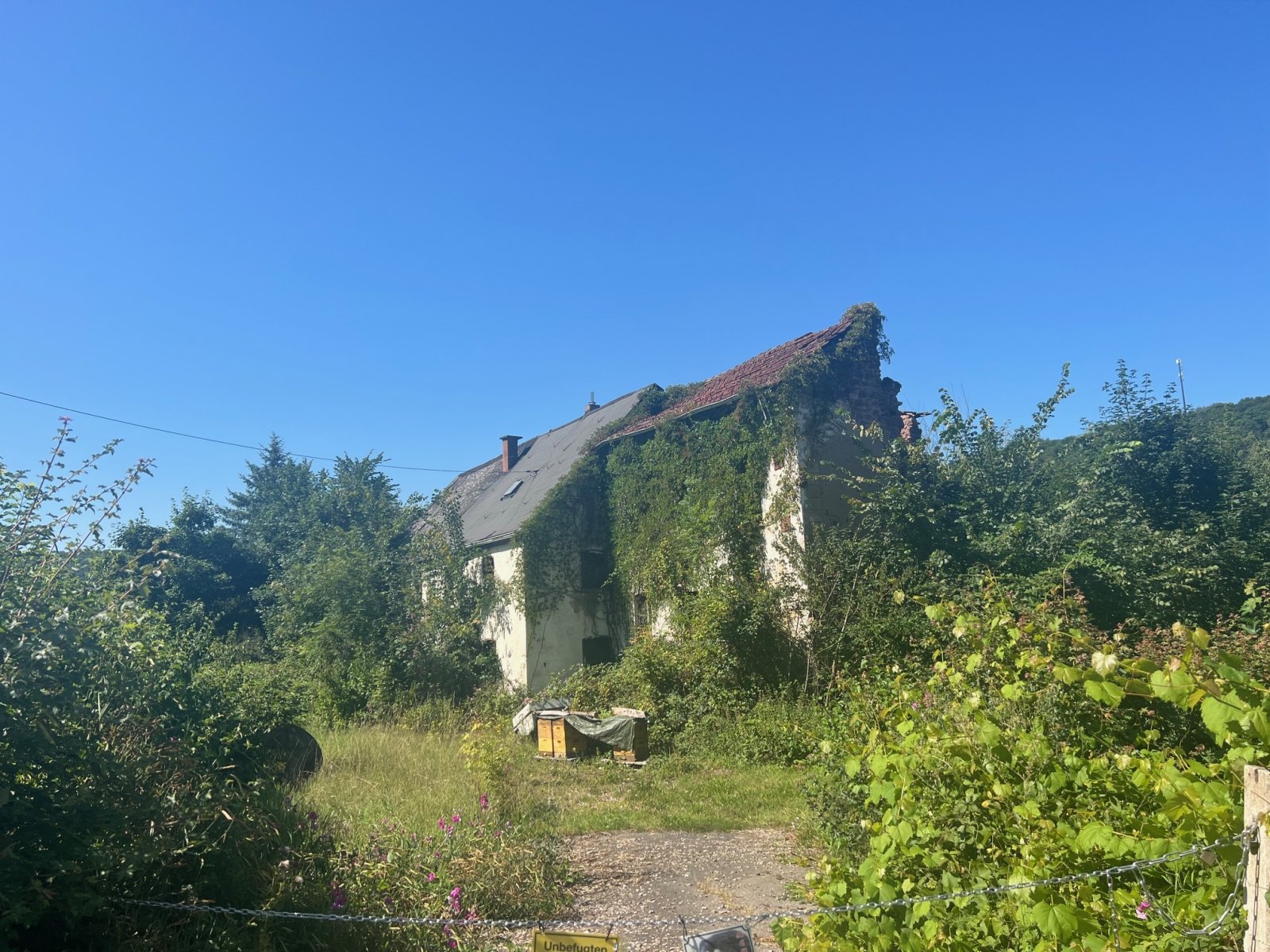 Wadern: Großes schön gelegenes Grundtsück nahe an der Prims in Wadern-Büschfeld zu verkaufen 