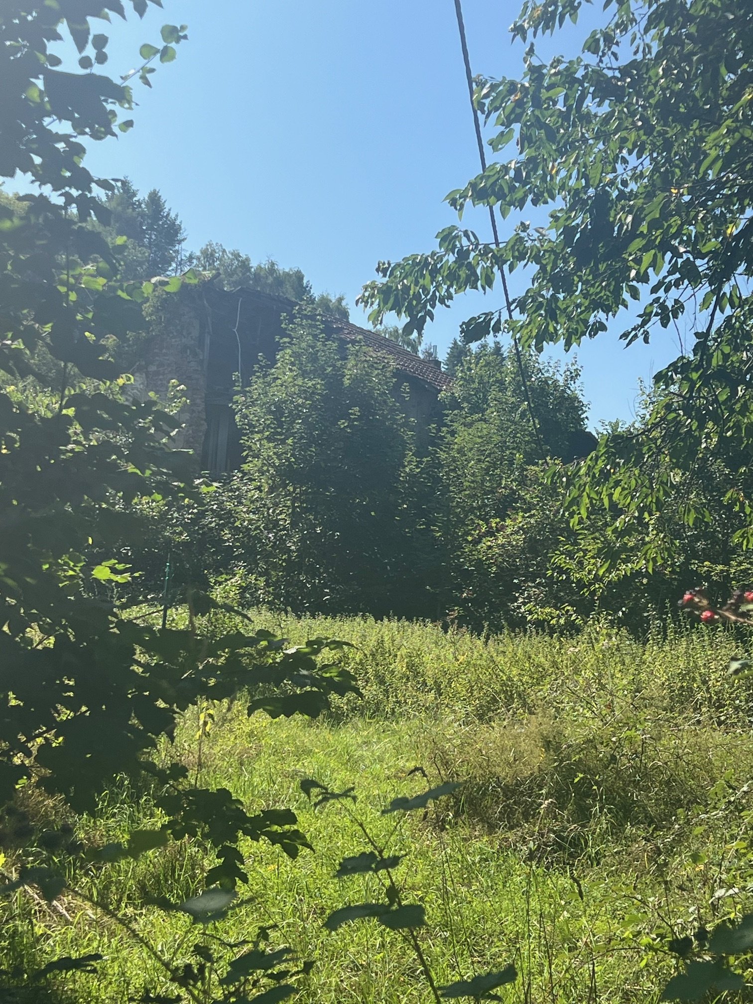 Großes schön gelegenes Grundtsück nahe an der Prims in Wadern-Büschfeld zu verkaufen