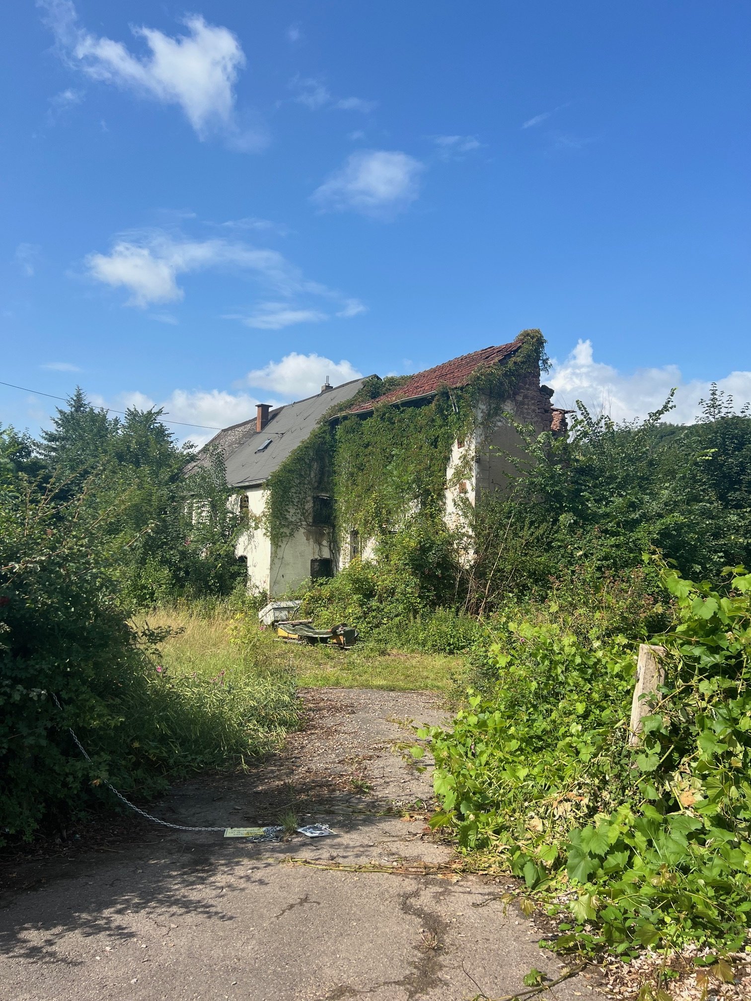 Großes schön gelegenes Grundtsück nahe an der Prims in Wadern-Büschfeld zu verkaufen